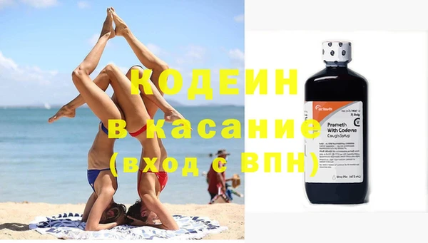 индика Армянск
