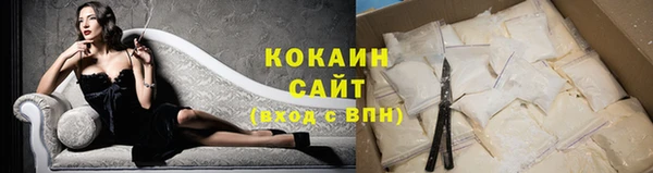 индика Армянск