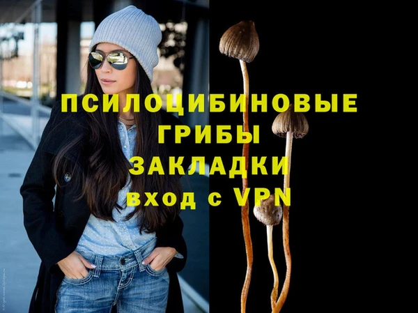эйфоретик Алзамай