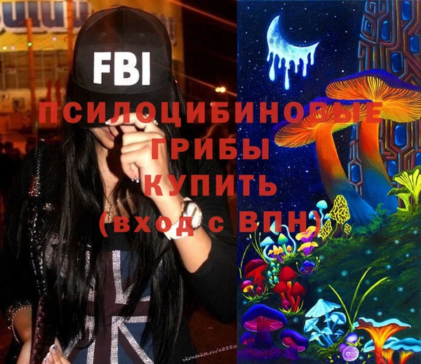 эйфоретик Алзамай