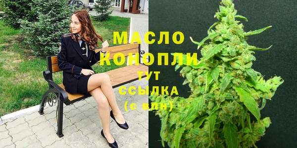 индика Армянск